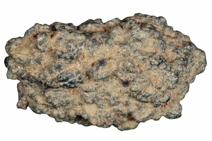 Lunar Meteorite ( g) - Bechar #288522